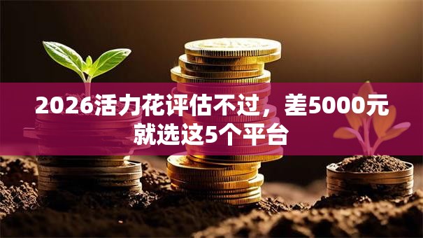2026活力花评估不过,差5000元就选这5个平台 2026活力花评估不过,差5000元就选这5个平台
