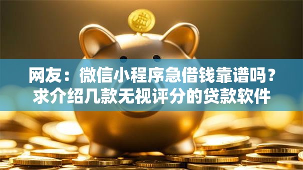 网友：微信小程序急借钱靠谱吗？求介绍几款无视评分的贷款软件
