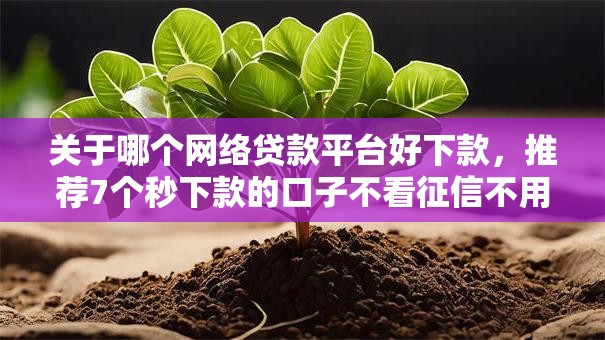 关于哪个网络贷款平台好下款，推荐7个秒下款的口子不看征信不用信用卡给你