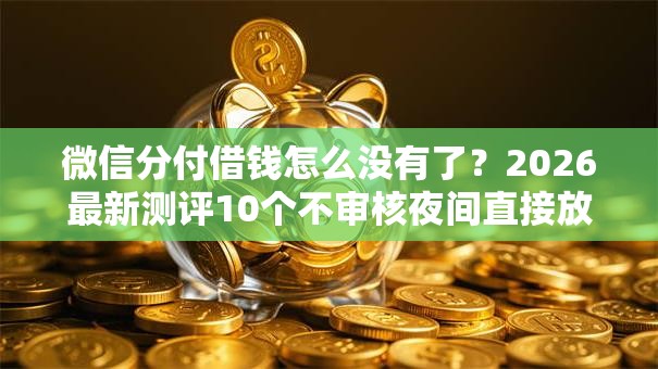 微信分付借钱怎么没有了？2026最新测评10个不审核夜间直接放款的网贷软件