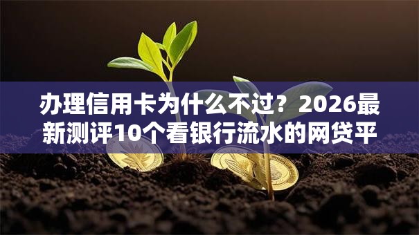 办理信用卡为什么不过？2026最新测评10个看银行流水的网贷平台