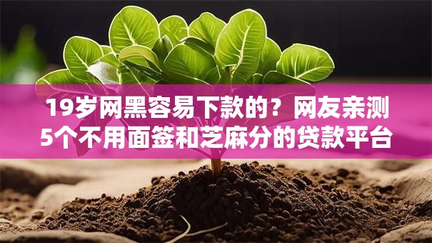 19岁网黑容易下款的？网友亲测5个不用面签和芝麻分的贷款平台盘点