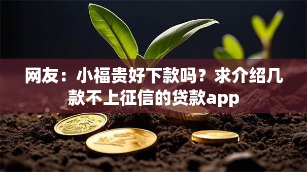 网友：小福贵好下款吗？求介绍几款不上征信的贷款app