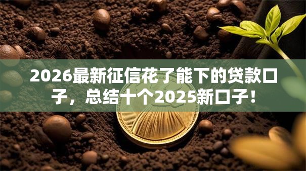 2026最新征信花了能下的贷款口子，总结十个2025新口子！