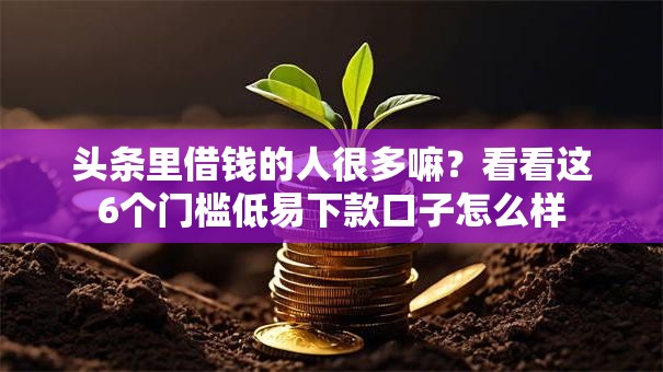 头条里借钱的人很多嘛？看看这6个门槛低易下款口子怎么样