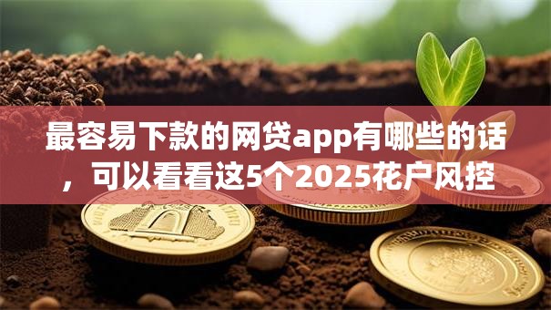 最容易下款的网贷app有哪些的话，可以看看这5个2025花户风控必过的口子论坛