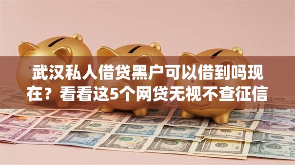 武汉私人借贷黑户可以借到吗现在？看看这5个网贷无视不查征信app怎么样