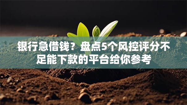 银行急借钱？盘点5个风控评分不足能下款的平台给你参考