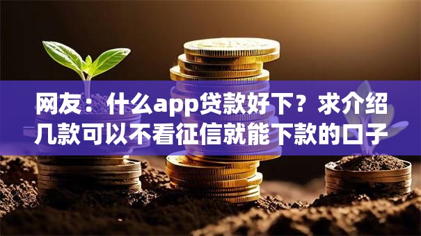 网友：什么app贷款好下？求介绍几款可以不看征信就能下款的口子