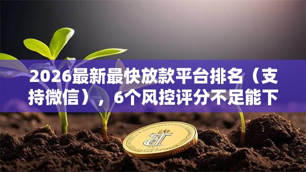 2026最新最快放款平台排名（支持微信），6个风控评分不足能下款的平台无私分享