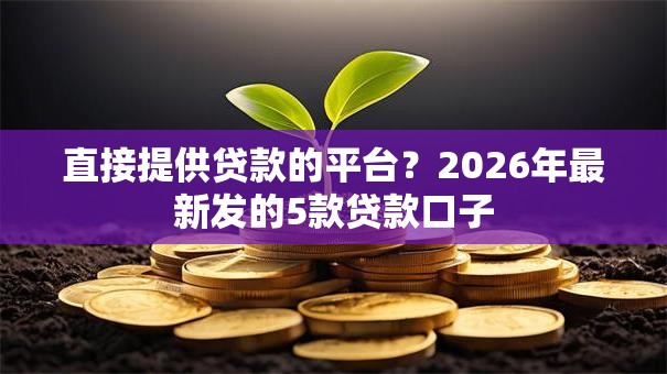 直接提供贷款的平台？2026年最新发的5款贷款口子