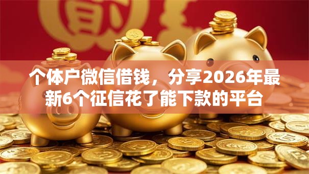 个体户微信借钱，分享2026年最新6个征信花了能下款的平台
