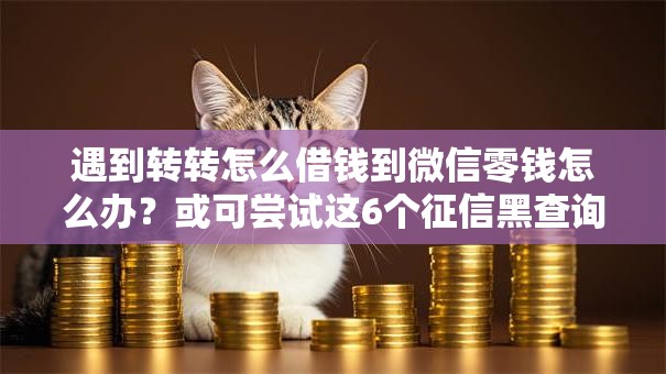 遇到转转怎么借钱到微信零钱怎么办？或可尝试这6个征信黑查询多网贷多负债高还能百分百下款平台
