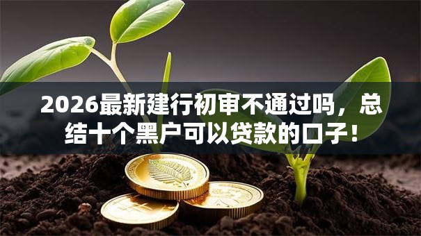2026最新建行初审不通过吗，总结十个黑户可以贷款的口子！