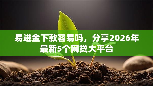 易进金下款容易吗，分享2026年最新5个网贷大平台