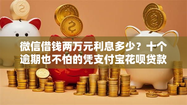 微信借钱两万元利息多少？十个逾期也不怕的凭支付宝花呗贷款的口子