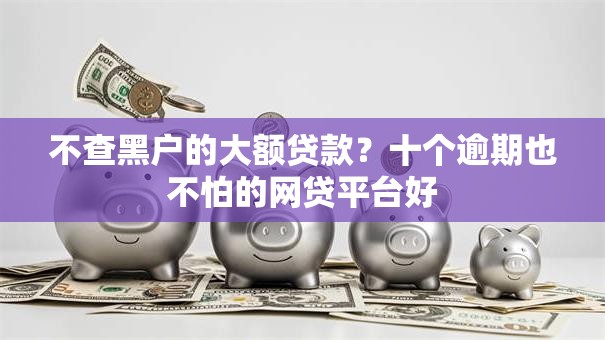 不查黑户的大额贷款？十个逾期也不怕的网贷平台好