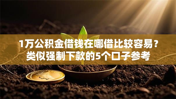 1万公积金借钱在哪借比较容易？类似强制下款的5个口子参考