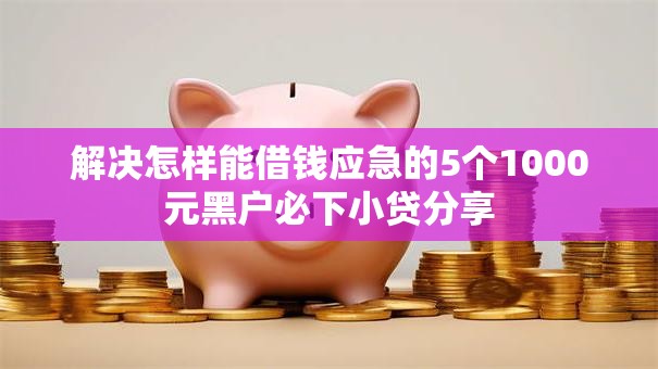 解决怎样能借钱应急的5个1000元黑户必下小贷分享