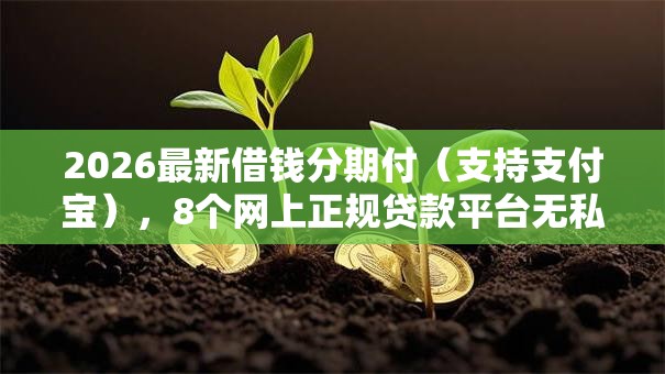 2026最新借钱分期付（支持支付宝），8个网上正规贷款平台无私分享