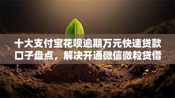 十大支付宝花呗逾期万元快速贷款口子盘点，解决开通微信微粒贷借钱的问题