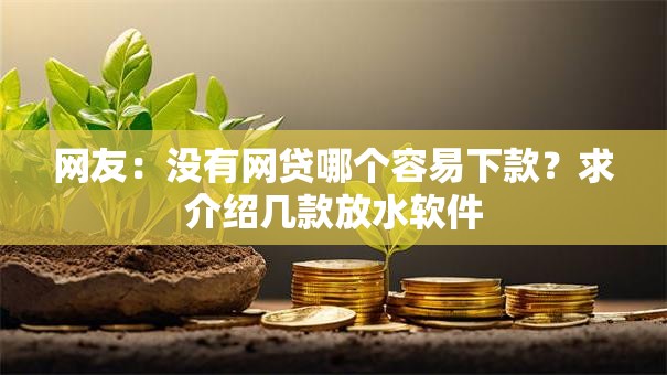 网友：没有网贷哪个容易下款？求介绍几款放水软件