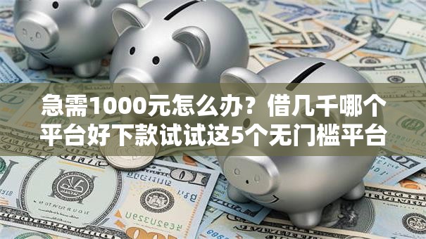 急需1000元怎么办？借几千哪个平台好下款试试这5个无门槛平台