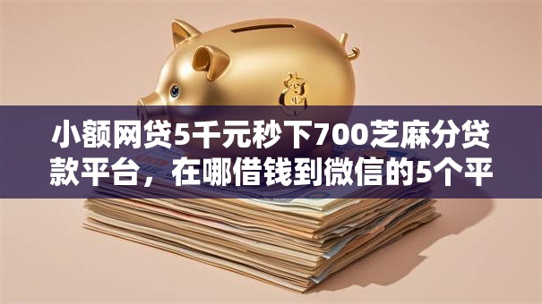 小额网贷5千元秒下700芝麻分贷款平台，在哪借钱到微信的5个平台介绍