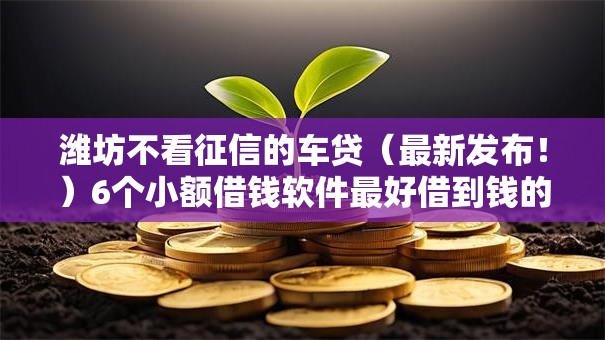 潍坊不看征信的车贷（最新发布！）6个小额借钱软件最好借到钱的