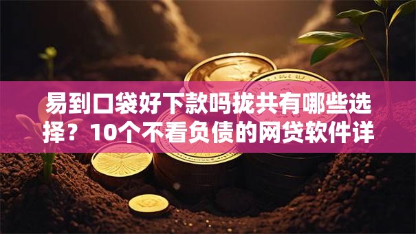 易到口袋好下款吗拢共有哪些选择？10个不看负债的网贷软件详解