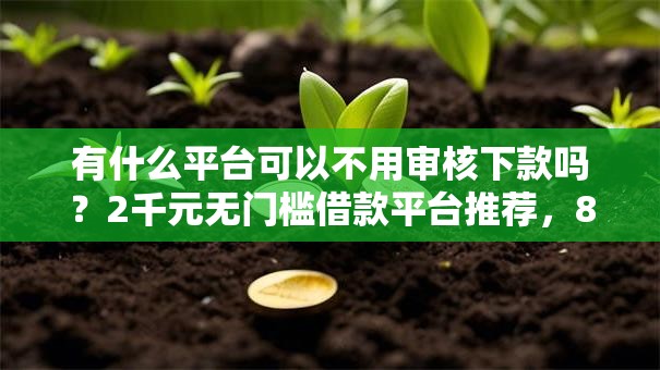 有什么平台可以不用审核下款吗？2千元无门槛借款平台推荐，8个有当前逾期的黑户平台能借到钱盘点