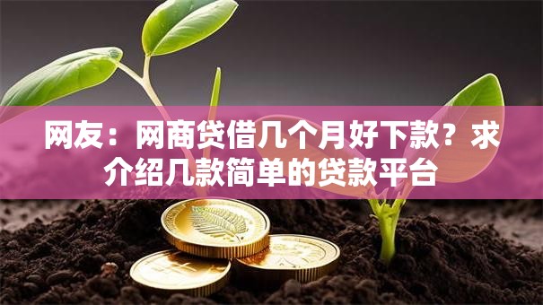 网友：网商贷借几个月好下款？求介绍几款简单的贷款平台