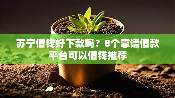 苏宁借钱好下款吗？8个靠谱借款平台可以借钱推荐