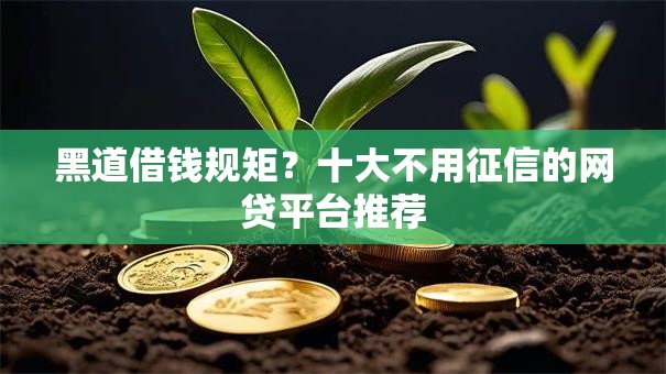 黑道借钱规矩？十大不用征信的网贷平台推荐