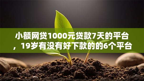 小额网贷1000元贷款7天的平台，19岁有没有好下款的的6个平台介绍