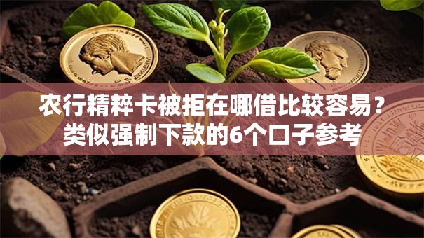 农行精粹卡被拒在哪借比较容易？类似强制下款的6个口子参考