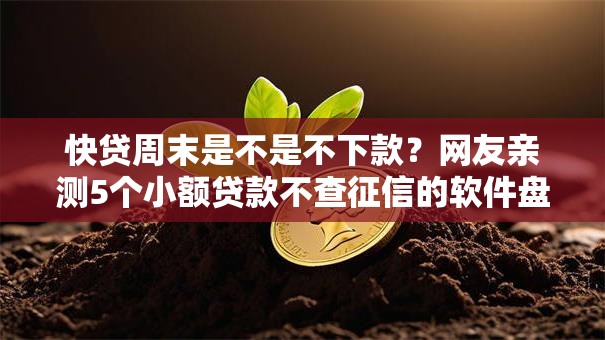 快贷周末是不是不下款？网友亲测5个小额贷款不查征信的软件盘点