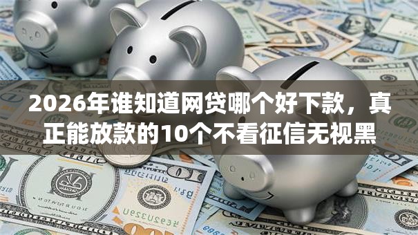 2026年谁知道网贷哪个好下款，真正能放款的10个不看征信无视黑白百分百下款app推荐
