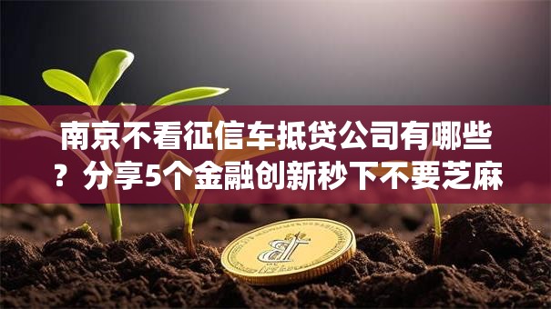 南京不看征信车抵贷公司有哪些？分享5个金融创新秒下不要芝麻分的app