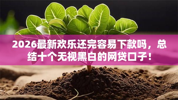 2026最新欢乐还完容易下款吗，总结十个无视黑白的网贷口子！