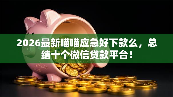 2026最新喵喵应急好下款么，总结十个微信贷款平台！