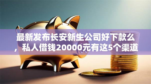 最新发布长安新生公司好下款么，私人借钱20000元有这5个渠道