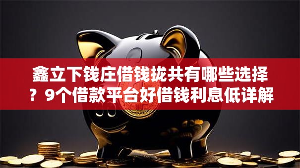 鑫立下钱庄借钱拢共有哪些选择？9个借款平台好借钱利息低详解