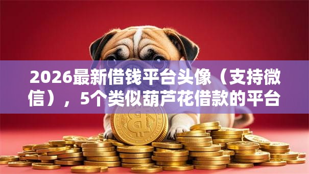 2026最新借钱平台头像（支持微信），5个类似葫芦花借款的平台无私分享