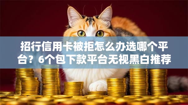 招行信用卡被拒怎么办选哪个平台？6个包下款平台无视黑白推荐