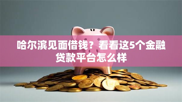 哈尔滨见面借钱？看看这5个金融贷款平台怎么样