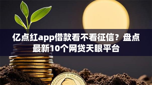 亿点红app借款看不看征信？盘点最新10个网贷天眼平台