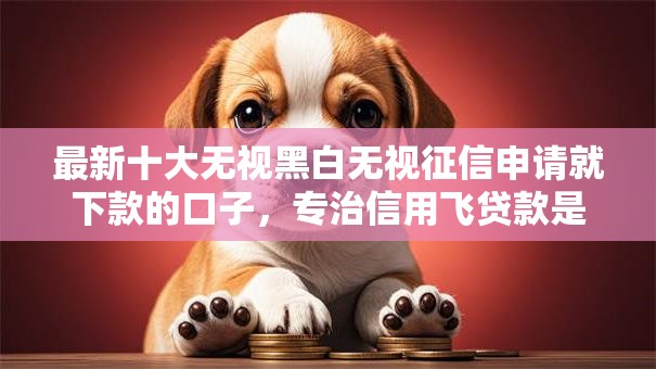 最新十大无视黑白无视征信申请就下款的口子，专治信用飞贷款是正规平台吗