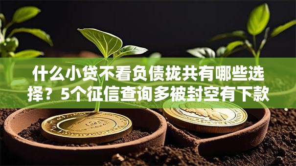 什么小贷不看负债拢共有哪些选择？5个征信查询多被封空有下款的小额短期网贷口子详解
