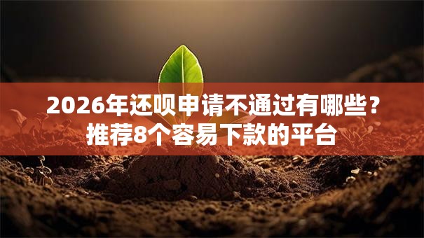 2026年还呗申请不通过有哪些？推荐8个容易下款的平台